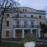 Дворец Румянцевых и Паскевичей (Гомель), январь 2012