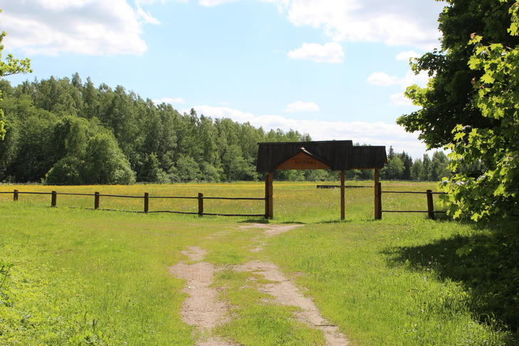 Окопы (фольварк Янки Купалы)