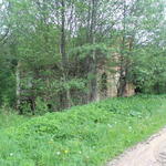 Водяная мельница (Тресковщина), май 2014