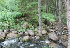 Водяная мельница (Яцыны)