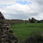 Кревский замок (Замок Ольгерда) (Крево), июнь 2010