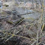 Водяная мельница (Центральная), апрель 2012