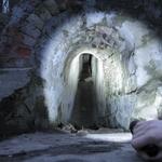 Дворец Румянцевых и Паскевичей (Гомель), январь 2012