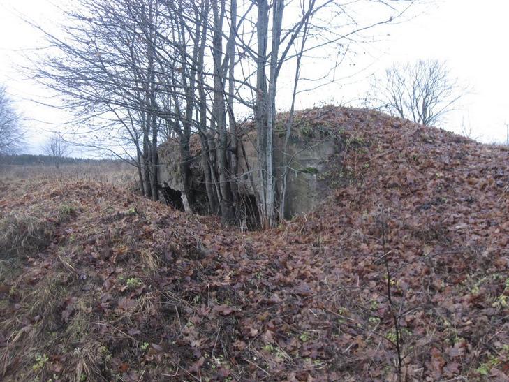 Немецкие укрепления Первой Мировой войны