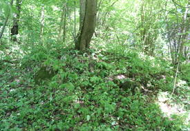 Курганный могильник (Хоруженцы)