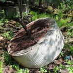 Водяная мельница (Полонечка), май 2012