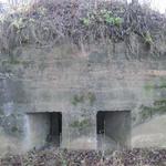 Немецкие укрепления Первой Мировой войны (Бенюны), октябрь 2011