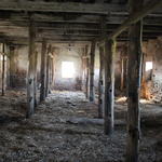 Усадьба Обуховичей: конюшня (Великая Липа), ноябрь 2013