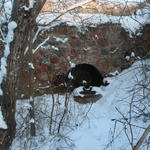 Бумажная фабрика (Прудники), январь 2016