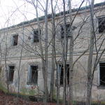 Усадьба Обуховичей: флигель (Великая Липа), ноябрь 2013