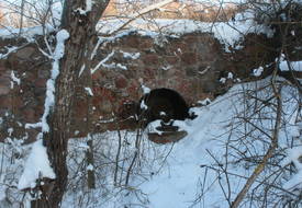 Бумажная фабрика