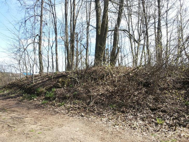 Усадебный дом