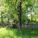 Дворец Радзивиллов (Полонечка), май 2012