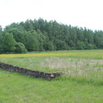 Окопы (фольварк Янки Купалы), июнь 2015