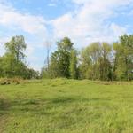 Усадьба Корвин-Милевских: усадебный дом (Лаздуны), май 2016