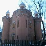 Усадьба Чапских: библиотека (Скарбец) (Станьково), февраль 2012