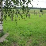 Кладбище солдат Первой Мировой войны (Боруны), июль 2011