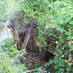 Почтовая станция (Раков), июль 2012