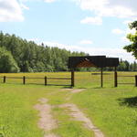 Окопы (фольварк Янки Купалы), июнь 2015