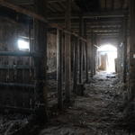 Усадьба Обуховичей: конюшня (Великая Липа), ноябрь 2013